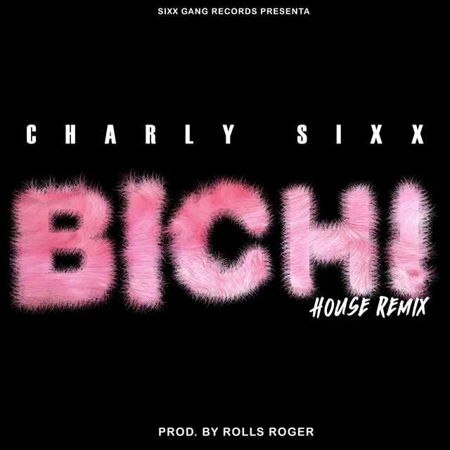 Bichi (House Remix)