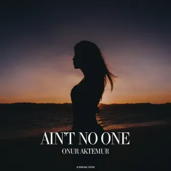 Ain't No One by Onur Aktemur