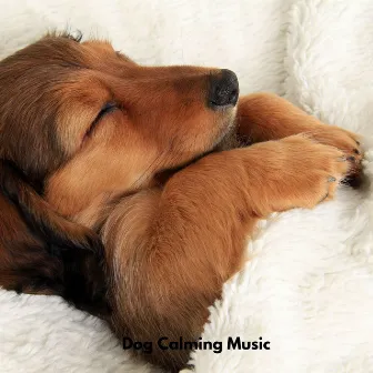 Dog Chill by Sounds Dogs Love