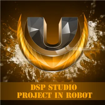 Project In Robot by DSP studio