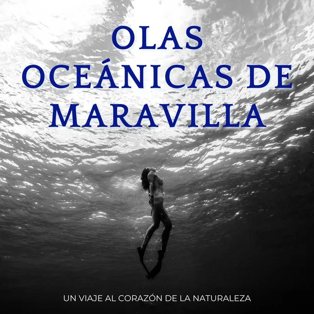 Aventuras De Sonidos Oceánicos De La Naturaleza