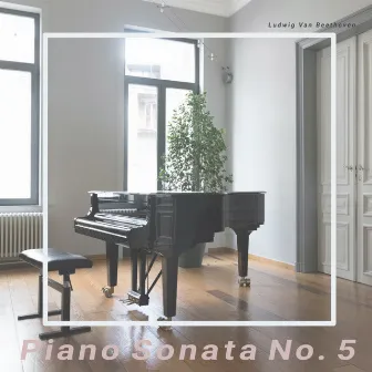 Beethoven: Piano Sonata No. 5 in C Minor, Op. 10 by Luca Freytag