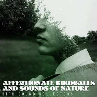 Affectionate Birdcalls and Sounds of Nature by Bird Sound Collectors