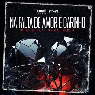 Na Falta de Amor e Carinho by DJ MARTINS