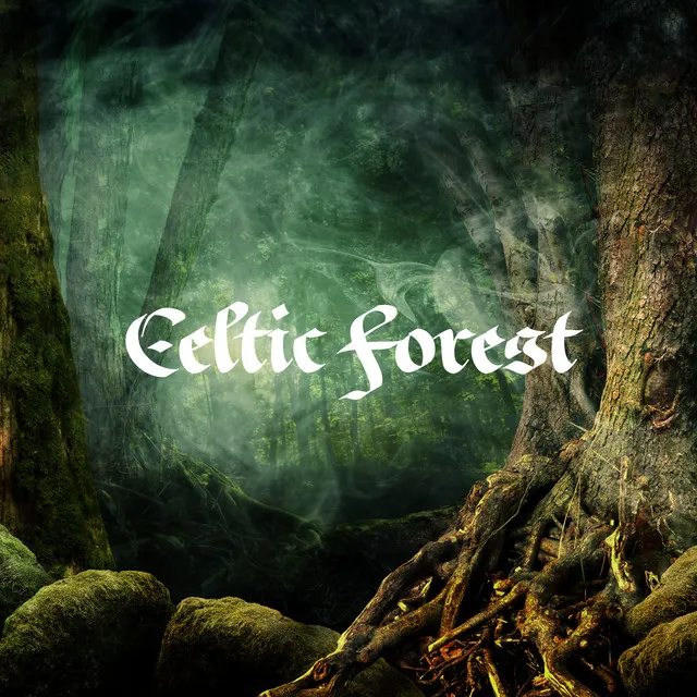 Celtic Forest: Music for Relaxation