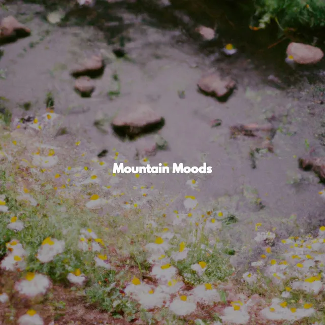 Wonderful Moods for Dreampop Moods