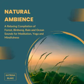 Natural Ambience: A Relaxing Compilation of Forest, Birdsong, Rain and Ocean Sounds for Meditation, Yoga and Mindfulness by Katrina Blake