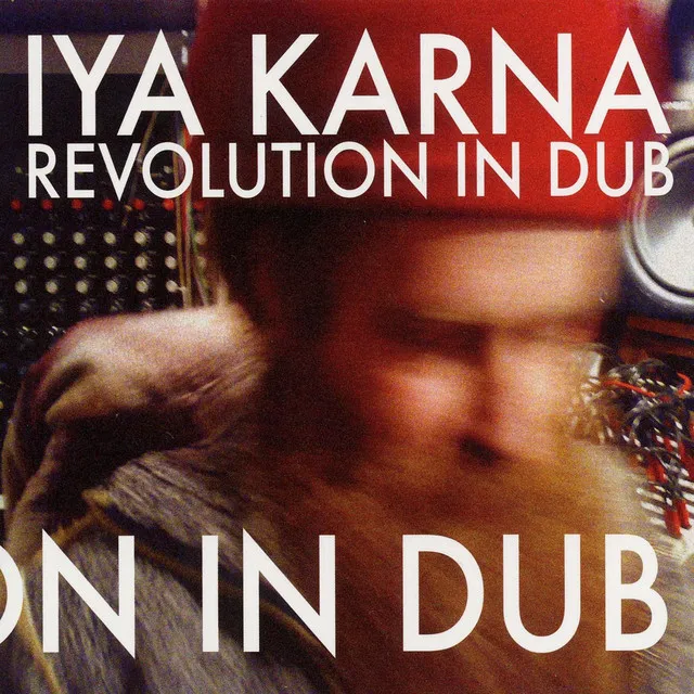 Revolution in Dub