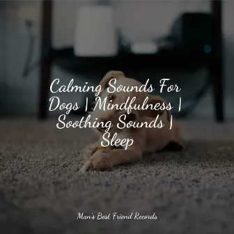 Sounds of Nature For Dogs | Mindful Living Natural Melodies by New Age