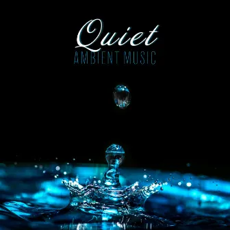 Quiet Ambient Music: Calm, Gentle and Quiet Ambient Compositions with the Sounds of Nature, Birds Singing and the Sound of Water by Total Relax Music Ambient