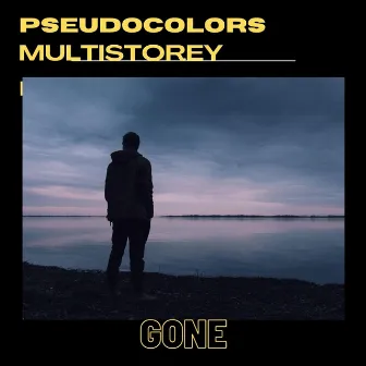 Gone by MultiStorey