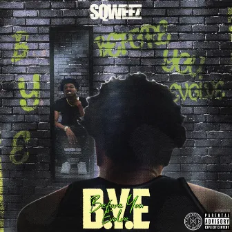 B.Y.E (Before You Evolve) by Sqweez