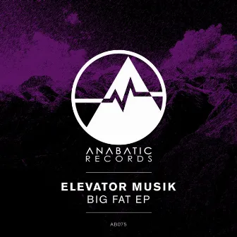 Big Fat EP by Elevator Musik