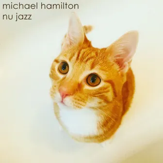 Nu Jazz by Michael Hamilton