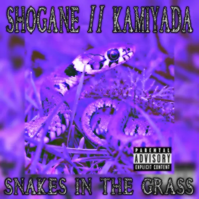 Snakes in the Grass