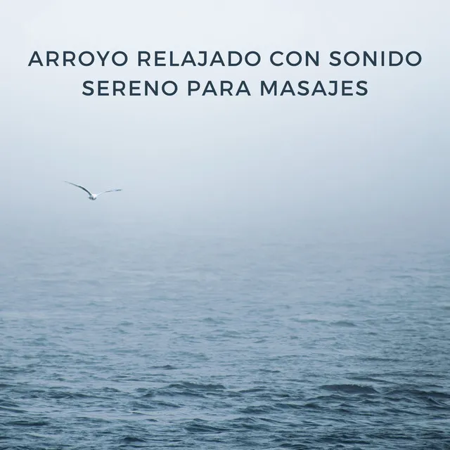 Masaje Sereno En El Arroyo