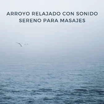 Arroyo Relajado Con Sonido Sereno Para Masajes by Masaje