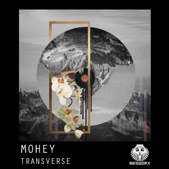 Transverse by Mohey