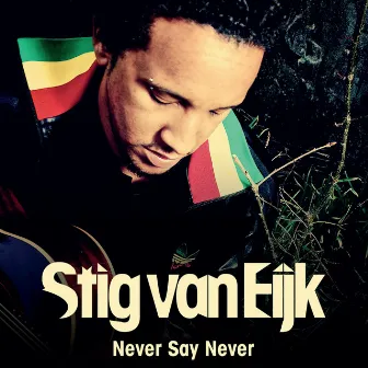 Never Say Never by Stig Van Eijk