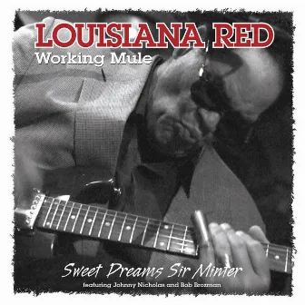 Working Mule by Louisiana Red