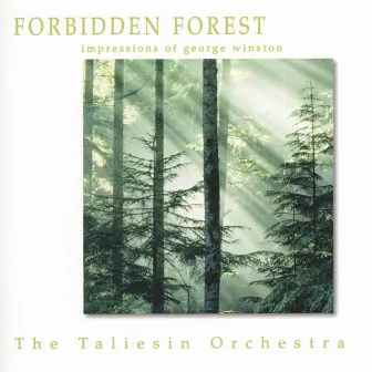 Forbidden Forest - The Music of George Winston by Taliesin Orchestra