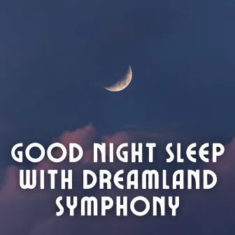 Good Night Sleep with Dreamland Symphony by Sleepy Side