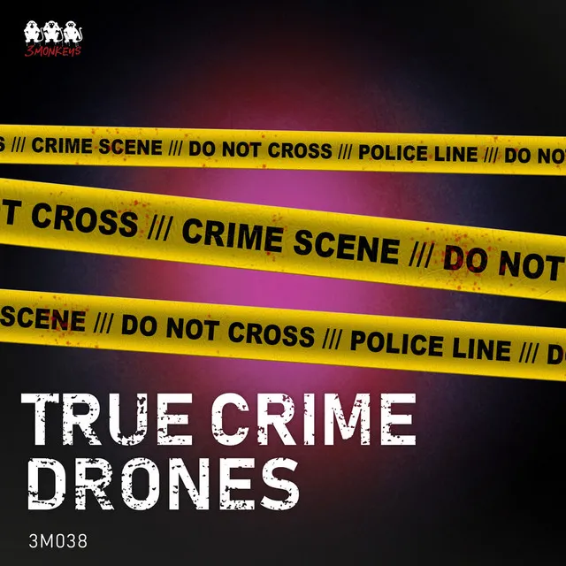 True Crime Drones