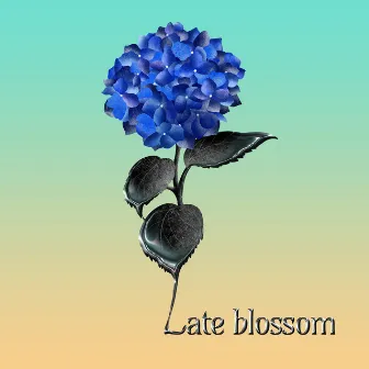 Late Blossom by PO Music