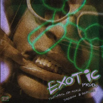 EXOTIC by Baaby Hunna