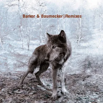 Remixes by Barker & Baumecker