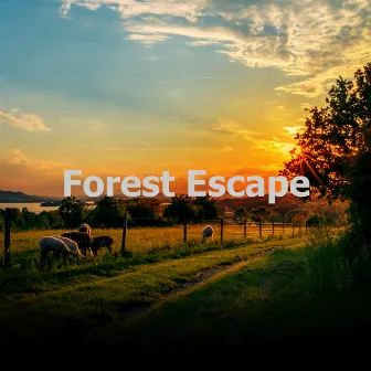 Forest Escape by Naturally Recurring