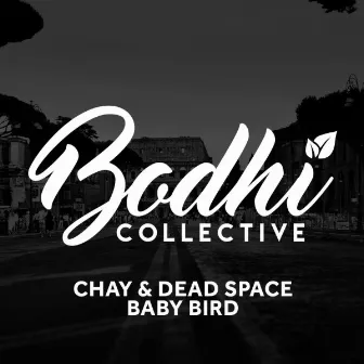 Baby Bird by Chay