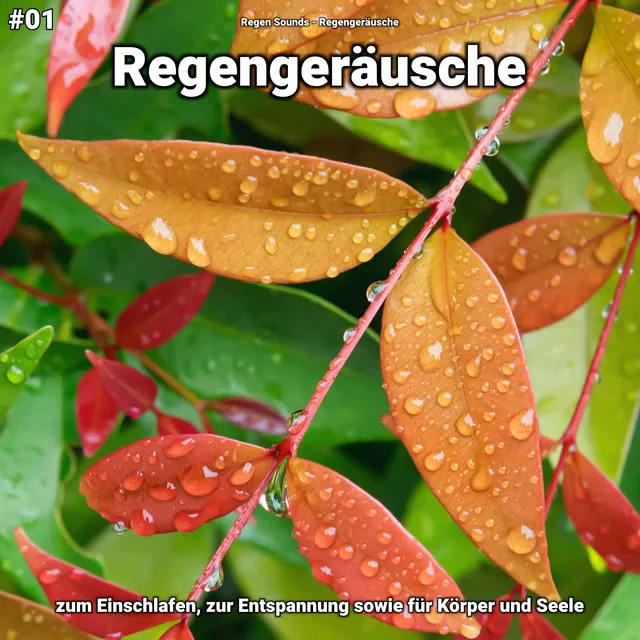 #01 Regengeräusche zum Einschlafen, zur Entspannung sowie für Körper und Seele