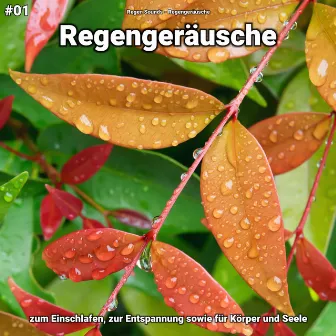 #01 Regengeräusche zum Einschlafen, zur Entspannung sowie für Körper und Seele by Regen Sounds