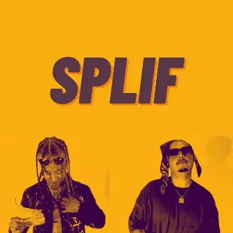 Splif by Dimatos