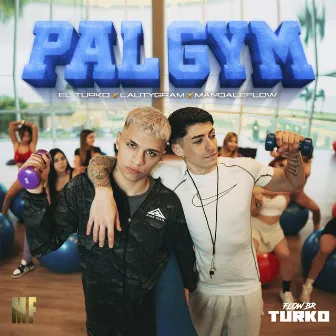 PAL GYM by El Turko