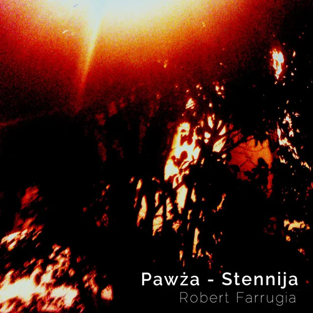 Pawża