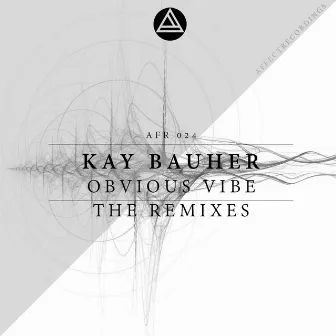 Obvious Vibe (The Remixes) by Kay Bauher