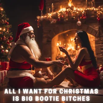 All I Want for Christmas is Big Bootie Bitches by Comedy Songs