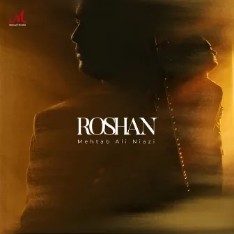 Roshan by Mehtab Ali Niazi