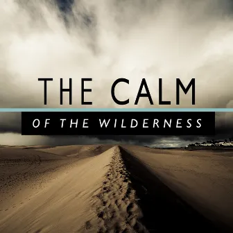 The Calm of the Wilderness by Unknown Artist