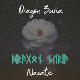 Dragon Zuria by Navate