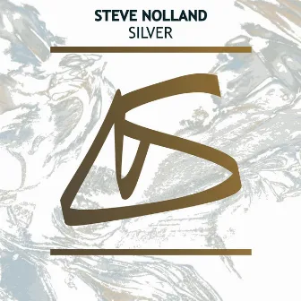 Silver (Original Mix) by Steve Nolland