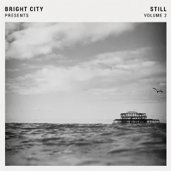 Still, Vol. 2 by Bright City