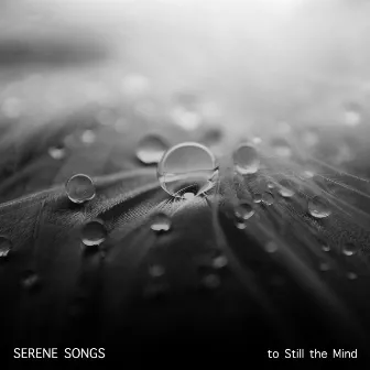 15 Serene Songs to Still the Mind by Sleeping Music Experience