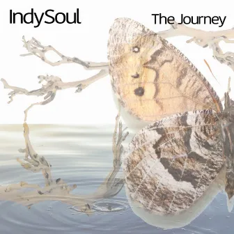 The Journey by Indysoul