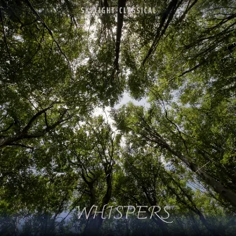 WHISPERS by Skylight-Classical