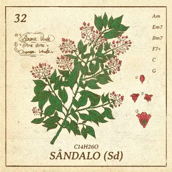 Sândalo by Aroma Verde