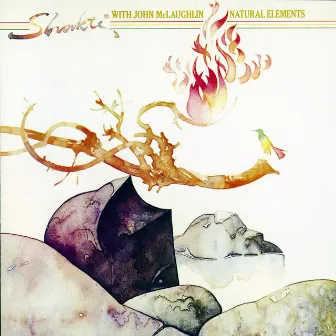 Natural Elements (with John McLaughlin) by Shakti