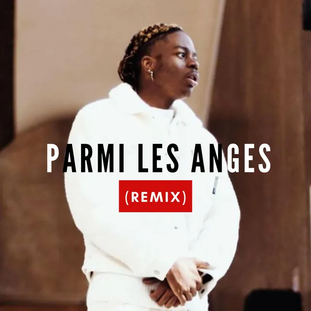 Parmi Les Anges - Remix